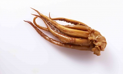 魷魚須