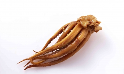 魷魚須